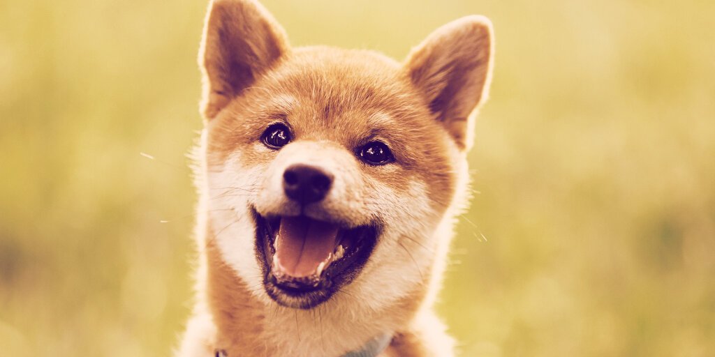 baby-doge-dogecoin-shiba-inu-gID_4